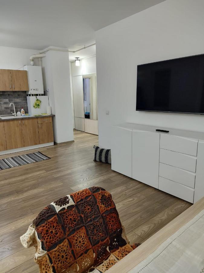 Апартаменты Casa Ioana Тыргу-Муреш Экстерьер фото
